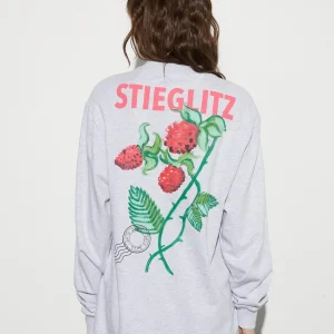 Flash Sale STIEGLITZ Tereza Skate Longsleeve | Melange Grey
