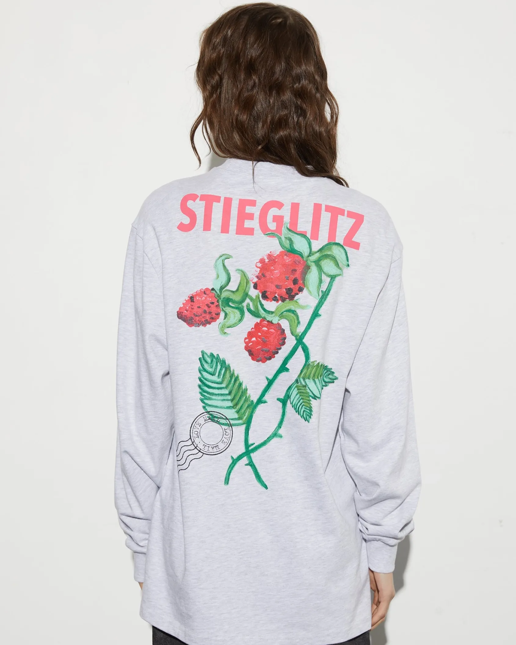 tereza_skate_longsleeve___2.webp Flash Sale STIEGLITZ Tereza Skate Longsleeve | Melange Grey
