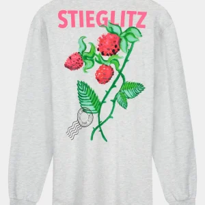 Flash Sale STIEGLITZ Tereza Skate Longsleeve | Melange Grey