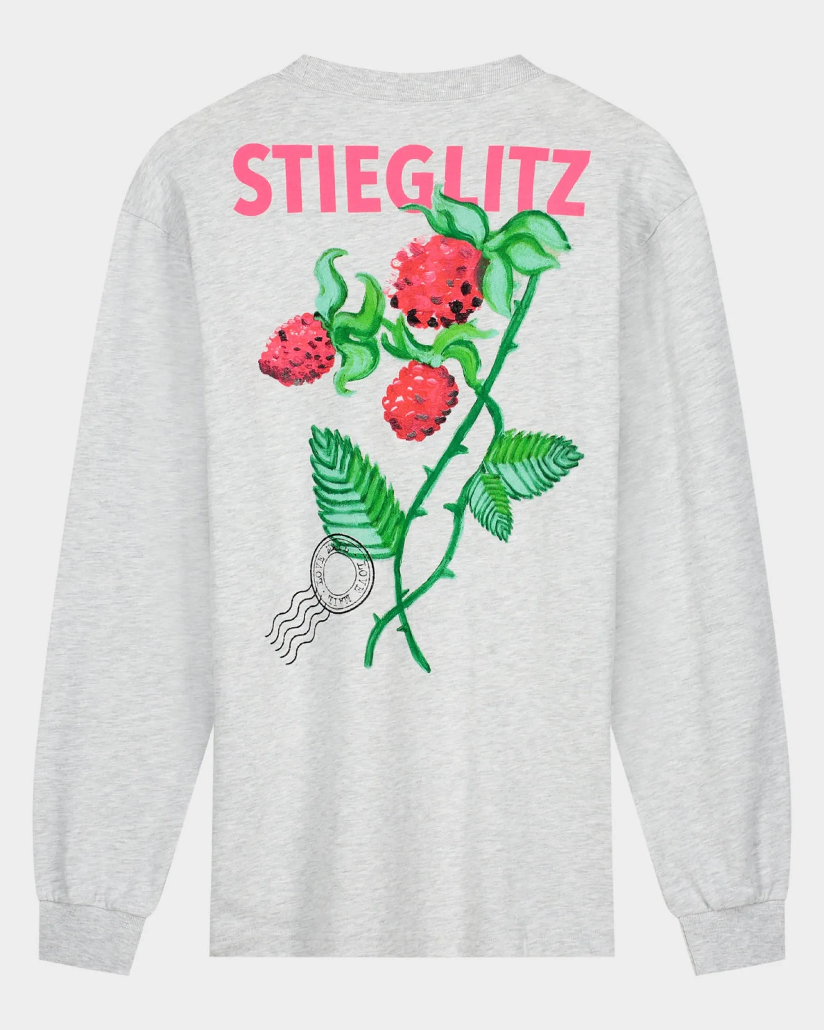 tereza_skate_longsleeve___4.webp Flash Sale STIEGLITZ Tereza Skate Longsleeve | Melange Grey